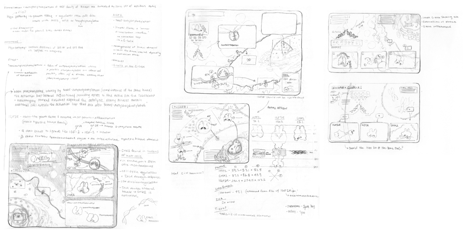MCV-Thumbnails